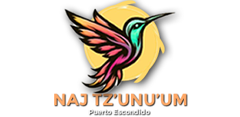 LOGO VILLAS Villas vacacionales en Puerto Escondido Oaxaca